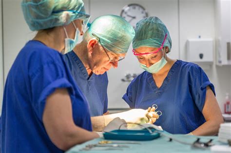 Fighting baldness: ‘We’ve stopped repairing transplants from .